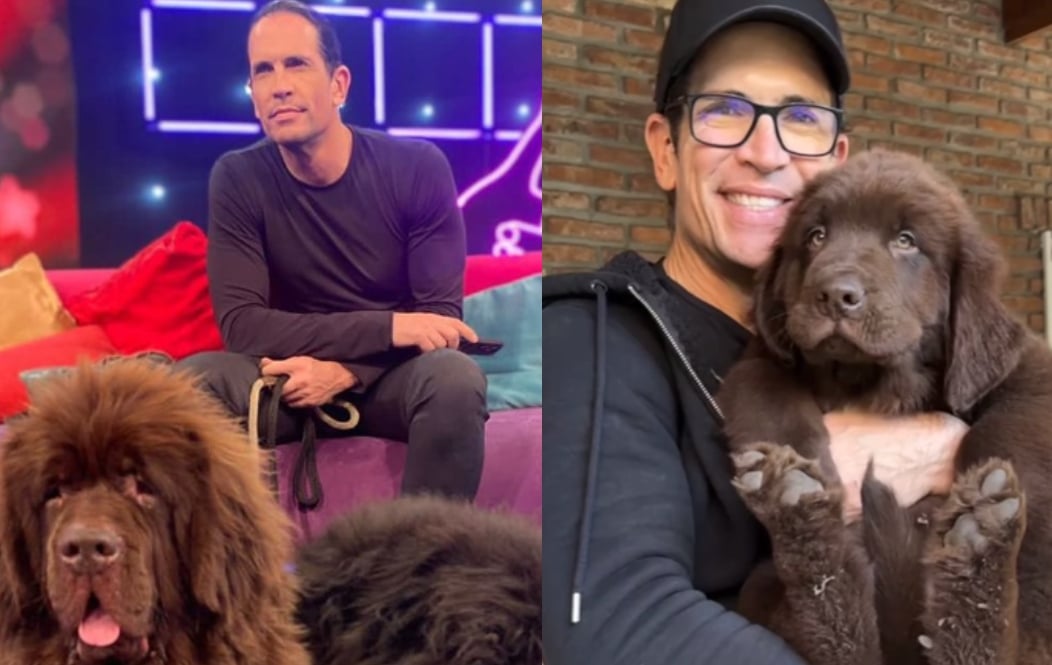 ¡Increíble! Diego Ramos adopta dos adorables cachorros y amplía su familia