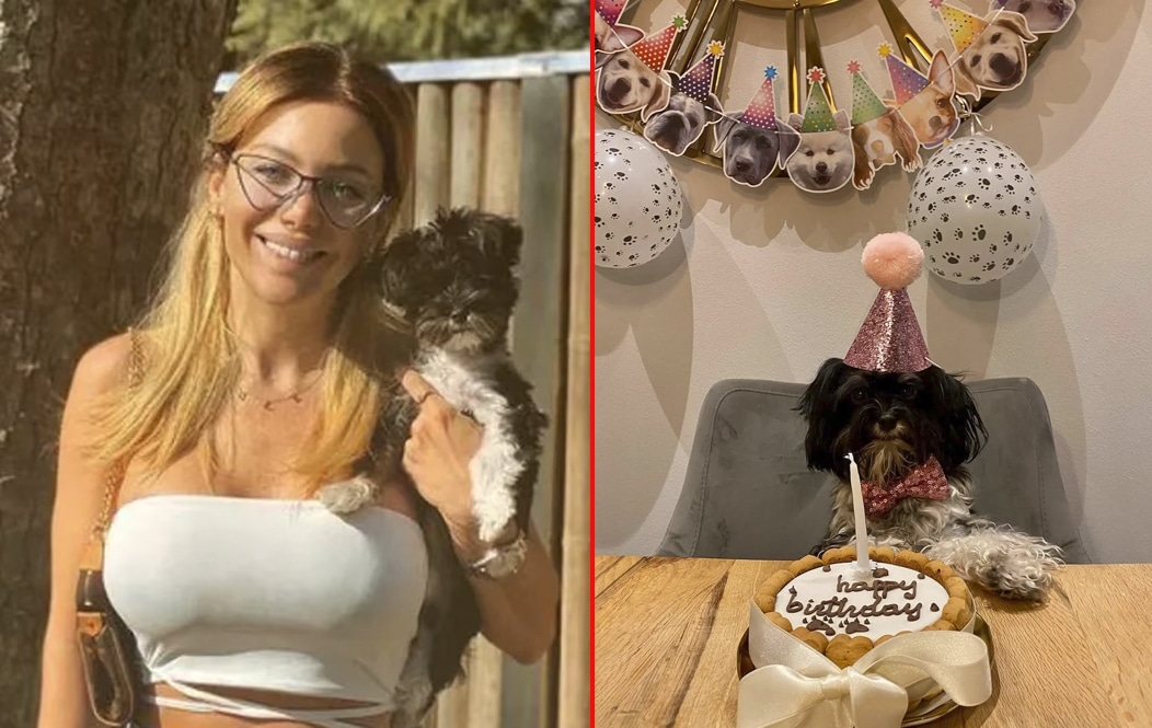 La increíble fiesta de cumpleaños de Evangelina Anderson para su perra