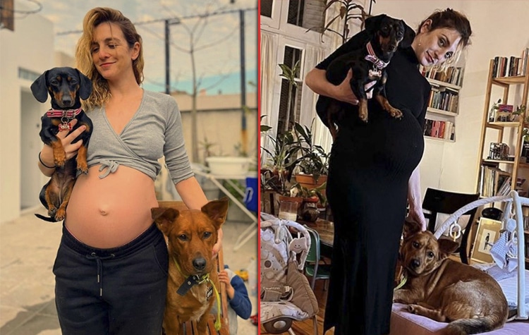 ¡Impactante! Julieta Zylberberg muestra su panza de 7 meses y revela el drama con sus mascotas