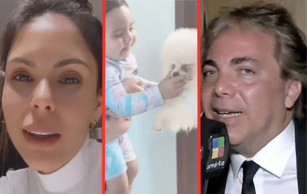 El escandaloso ataque de furia de Barby Franco por el robo del perro de su hija