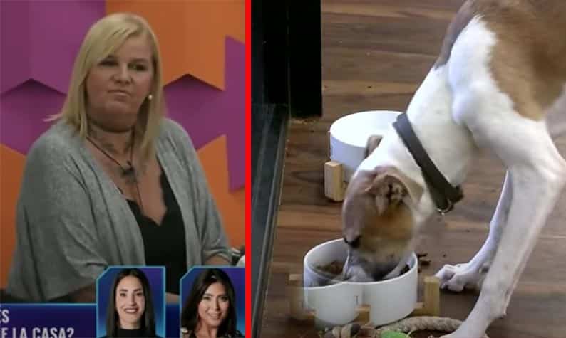 ¡Increíble! Descubre por qué Virginia exige que Arturo sea expulsado de Gran Hermano