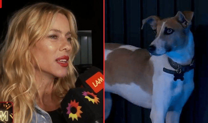 Nicole Neumann estalla contra Gran Hermano por el maltrato a Arturo, el perro de la casa