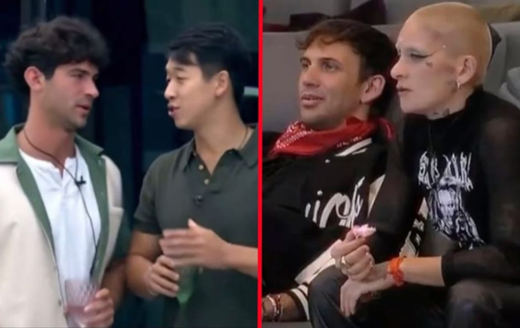 Los Bro tienen un plan maestro para eliminar a Furia en Gran Hermano