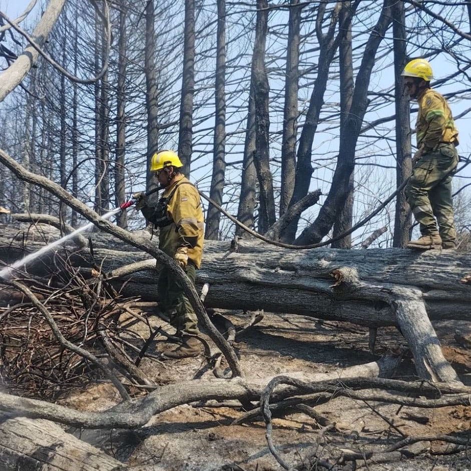 Incendios Forestales en Patagonia: Desafíos y Respuestas Resilientes