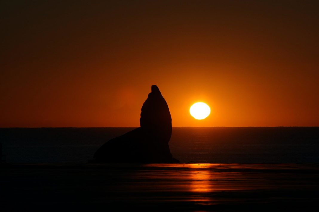 Descubre la Magia de Mar del Plata: Más Allá de la Playa