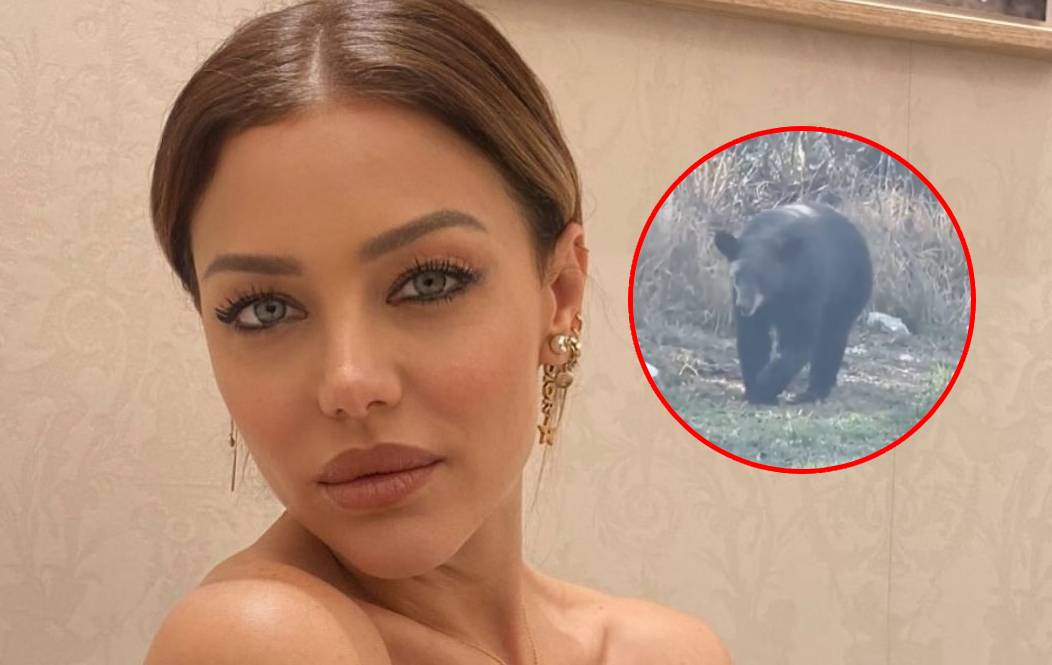 Evangelina Anderson y su Encuentro Inesperado con un Oso Negro en México