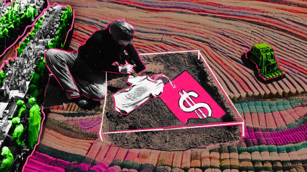 La Trama Textil: Desde el Algodón hasta la Prenda