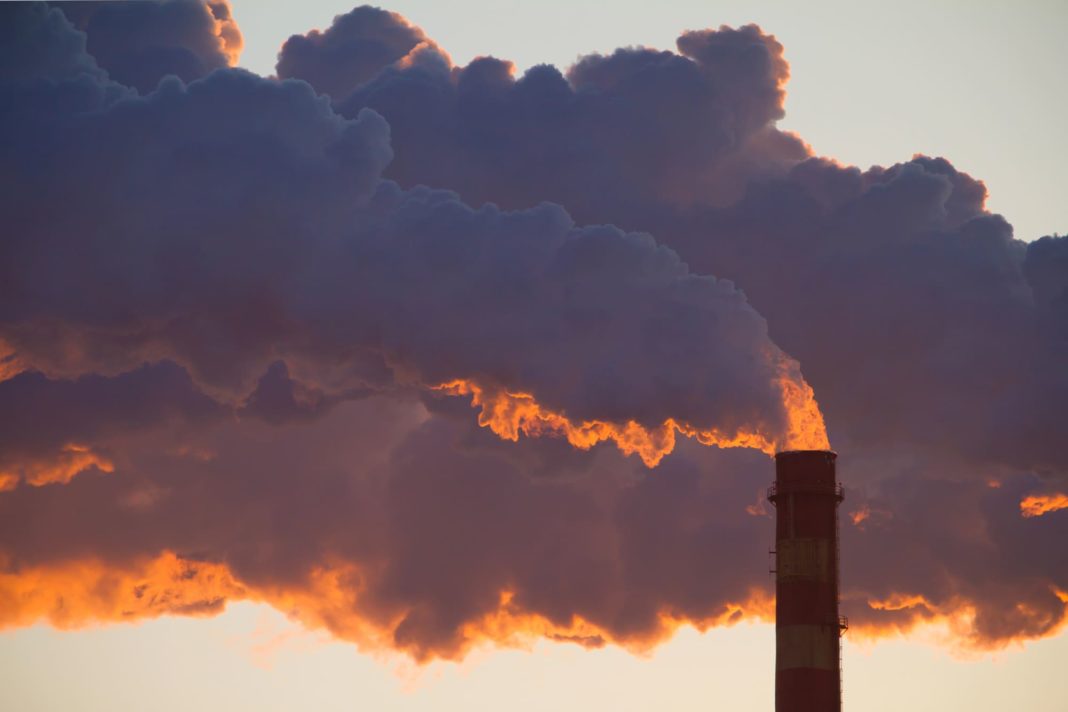 Más Allá de la Captura de Carbono: Soluciones Integrales para Enfrentar la Crisis Climática
